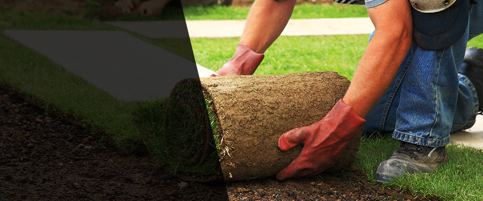 Iowa Park Landscapers